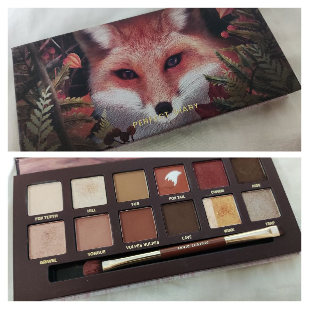 エクスプローラ12色 動物アイシャドウパレット/PERFECT DIARY/アイシャドウパレットを使ったクチコミ（1枚目）