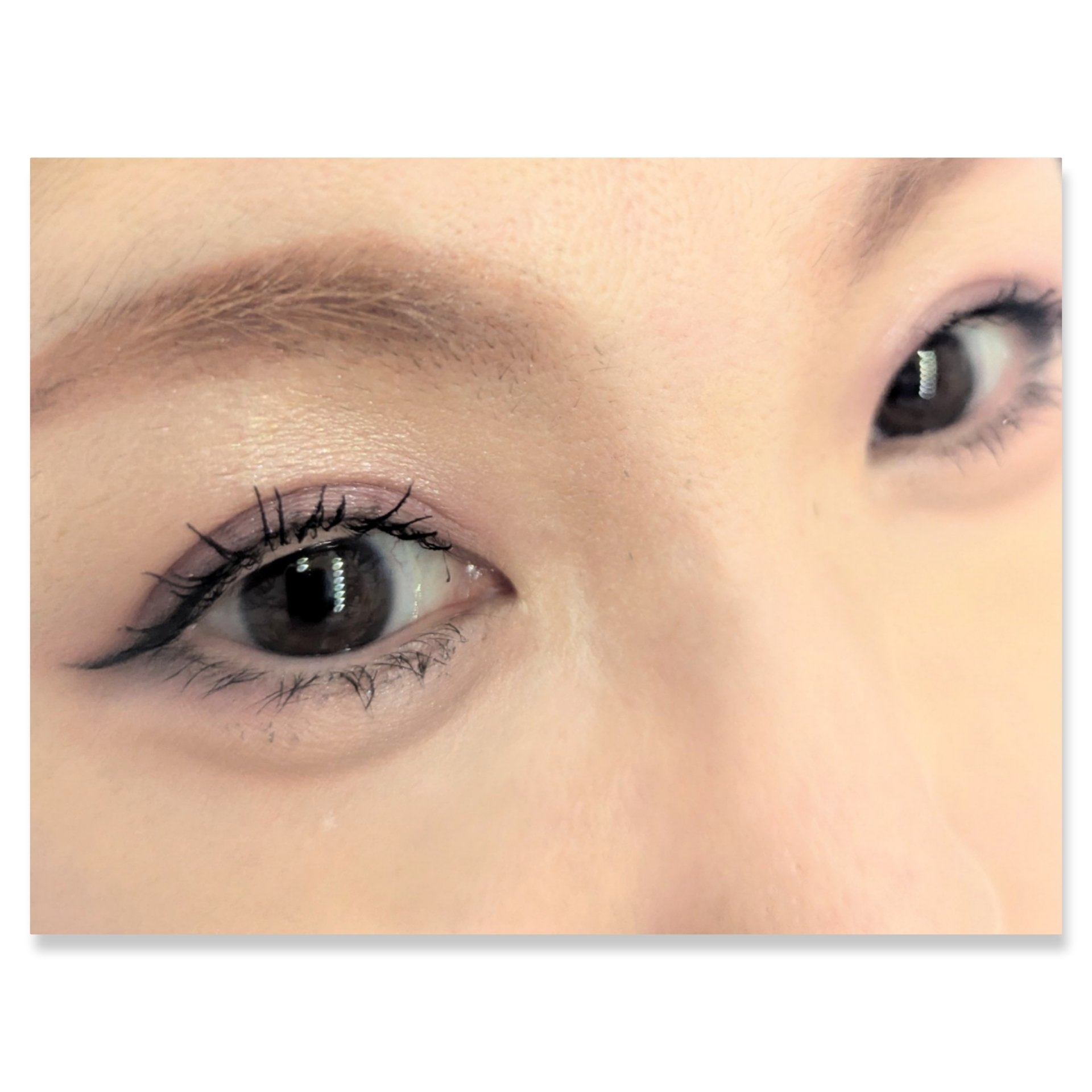 ベターザンアイズ/rom&nd/アイシャドウパレットを使ったクチコミ（2枚目）