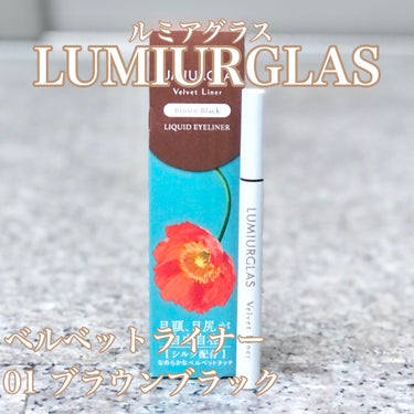 ベルベットライナー/LUMIURGLAS/リキッドアイライナーを使ったクチコミ（1枚目）