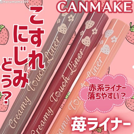 クリーミータッチライナー/キャンメイク/ジェルアイライナーを使ったクチコミ(1枚目)