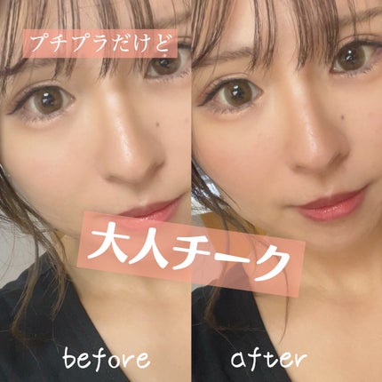 チークブラッシュ/CEZANNE/パウダーチークを使ったクチコミ(1枚目)