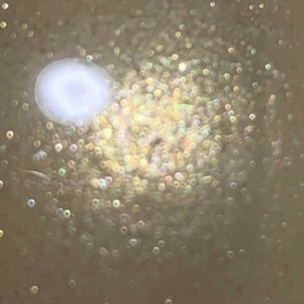 ヴェルニ ディオリフィック/Dior/マニキュアを使ったクチコミ（2枚目）