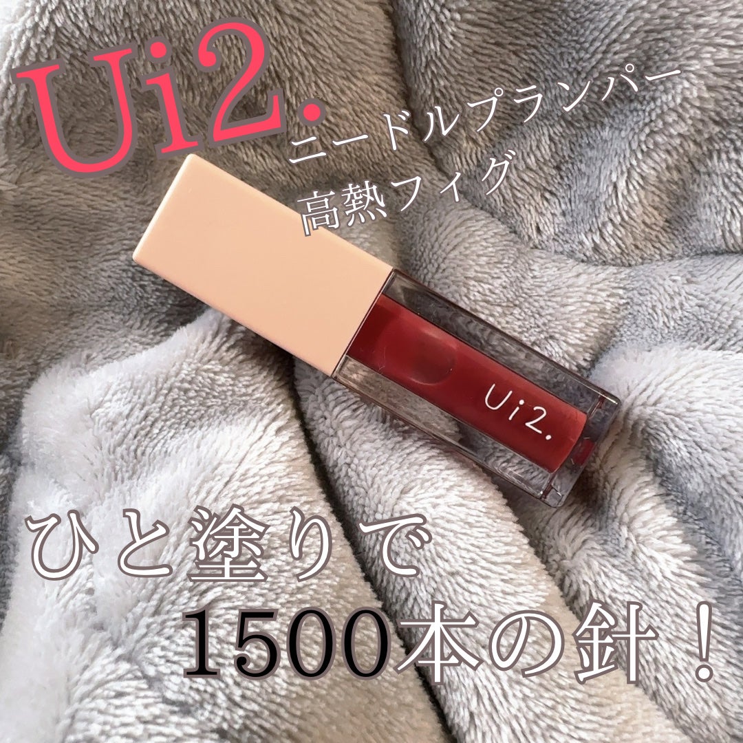 ニードルプランパー 高熱フィグ/Ui2./リッププランパーを使ったクチコミ(1枚目)