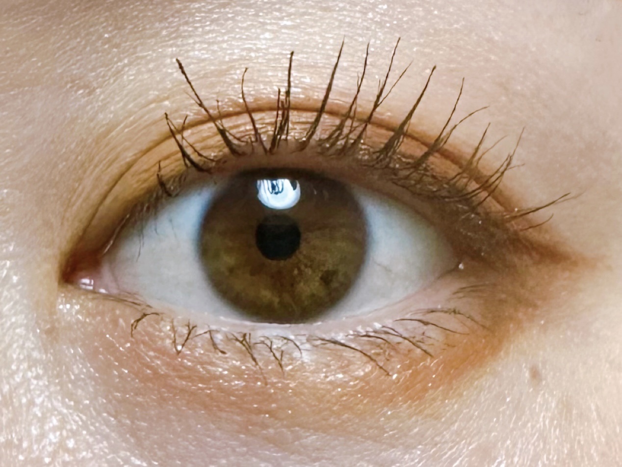 クイックラッシュカーラー/キャンメイク/マスカラ下地を使ったクチコミ（2枚目）