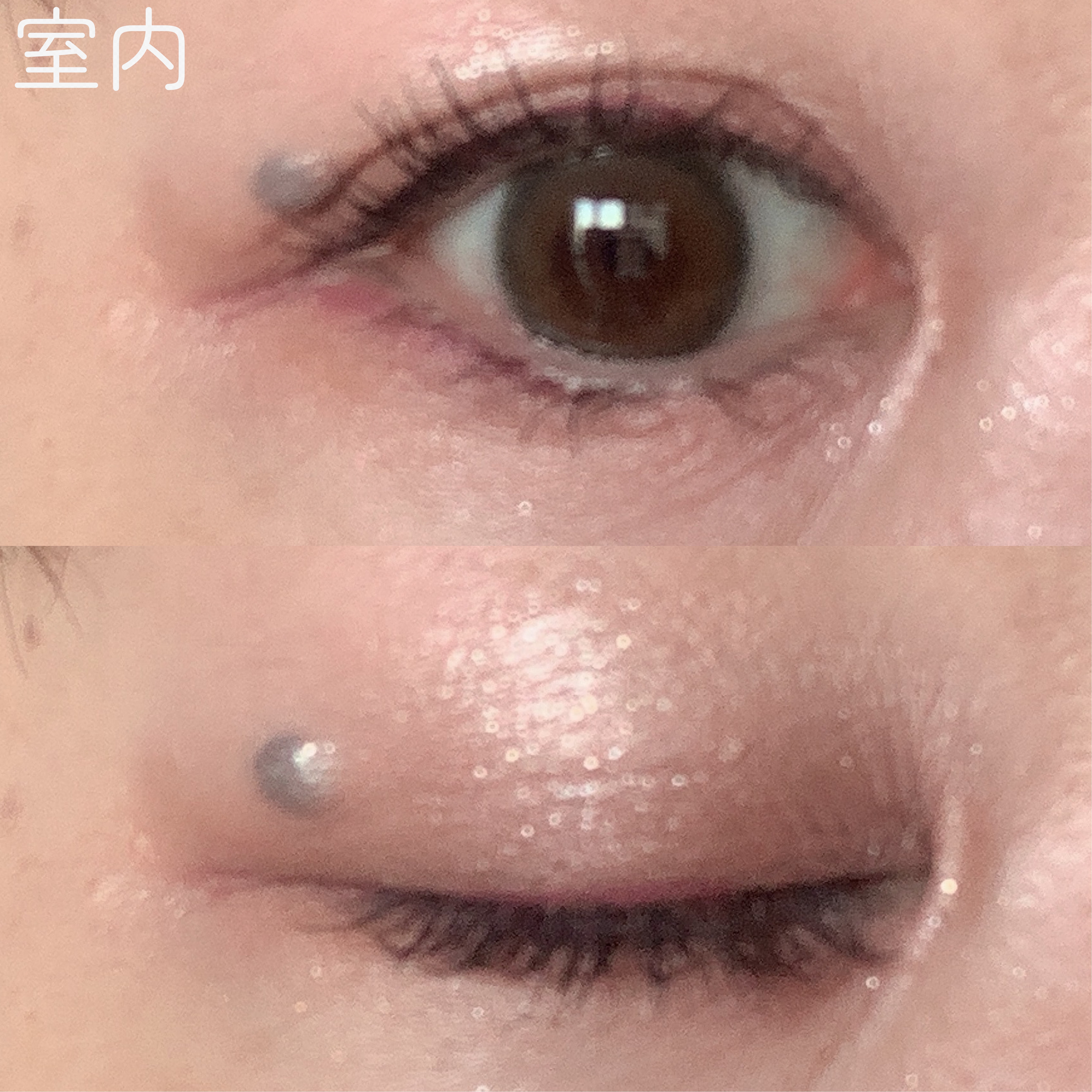 エクスプローラ12色 動物アイシャドウパレット/PERFECT DIARY/アイシャドウパレットを使ったクチコミ（2枚目）