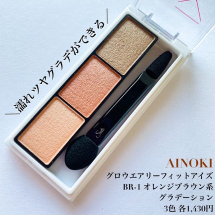 グロウエアリーフィットアイズ/AINOKI/アイシャドウパレットを使ったクチコミ(2枚目)