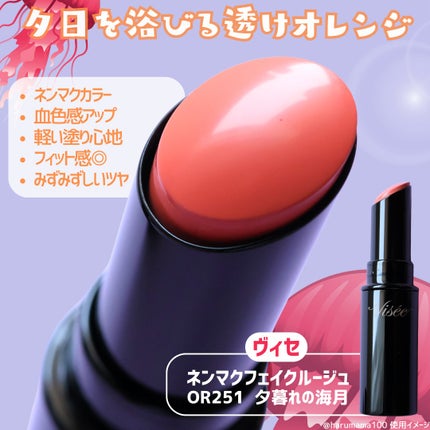 ネンマクフェイク ルージュ/Visée/口紅を使ったクチコミ(2枚目)