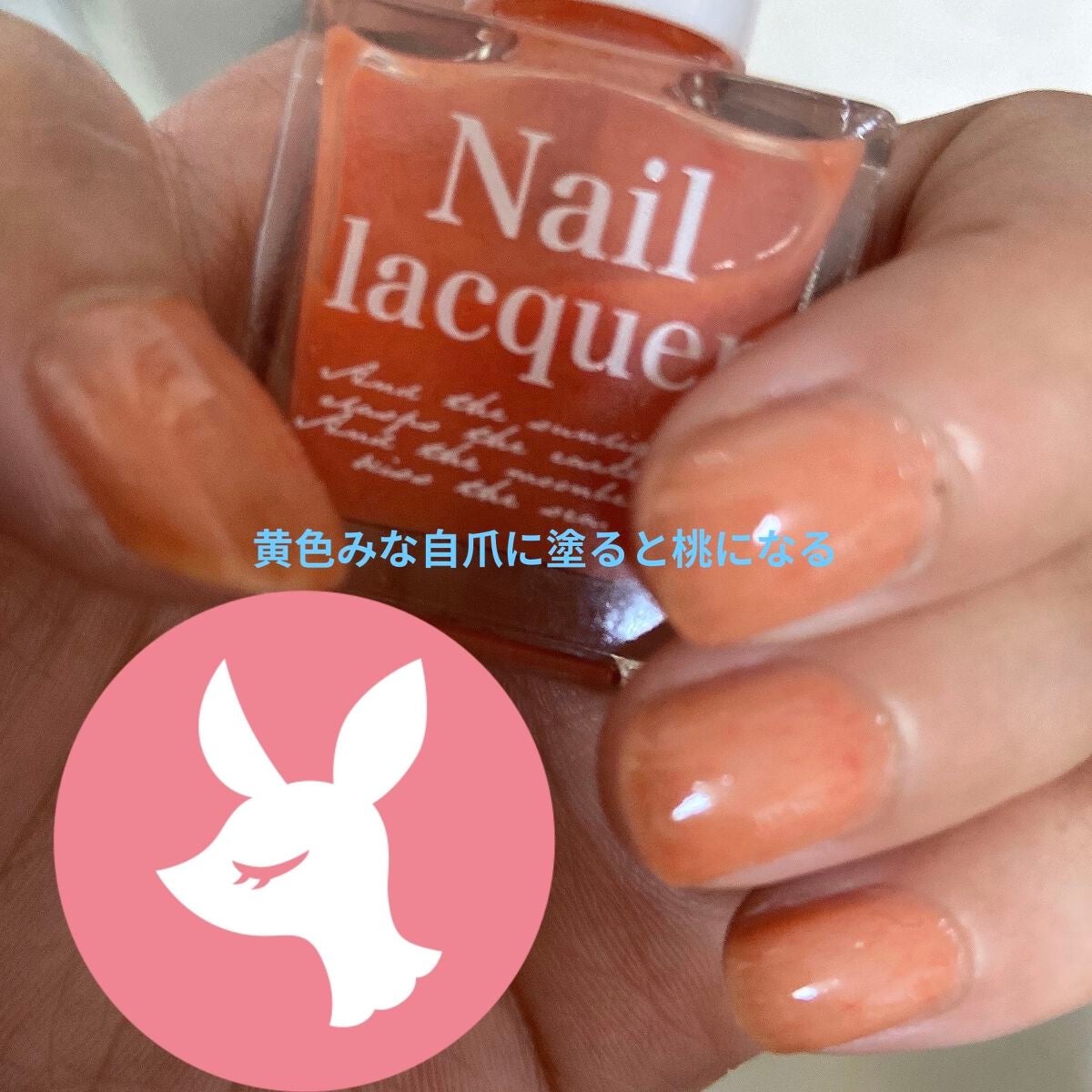 jill leen. 繊維ネイル /jill leen./マニキュアを使ったクチコミ(2枚目)