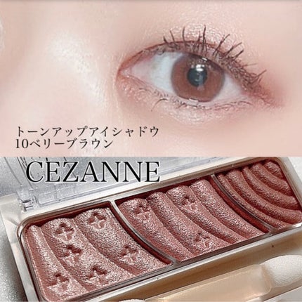 トーンアップアイシャドウ/CEZANNE/アイシャドウパレットを使ったクチコミ(6枚目)