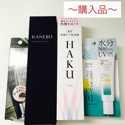 スクラビング マッド ウォッシュ/KANEBO/洗顔フォームを使ったクチコミ(1枚目)