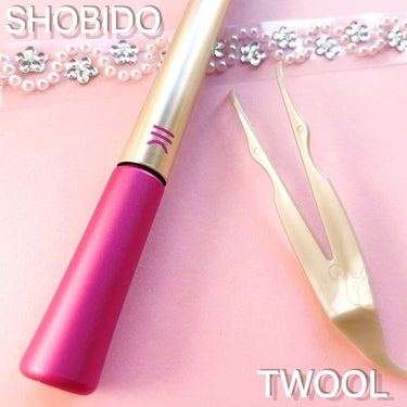 TWOOL ダブルアイリッドグルー/SHOBIDO/二重まぶた用アイテムを使ったクチコミ（5枚目）