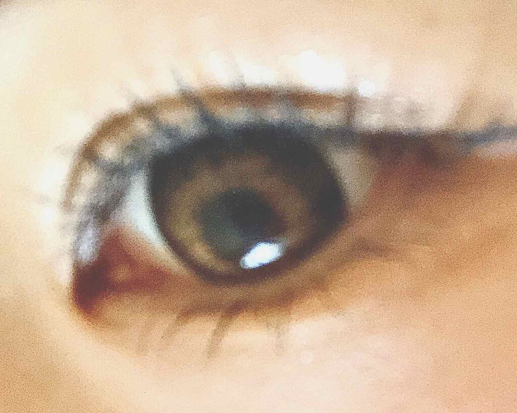 モテマスカラ IMPACT 1/UZU BY FLOWFUSHI/マスカラを使ったクチコミ(2枚目)