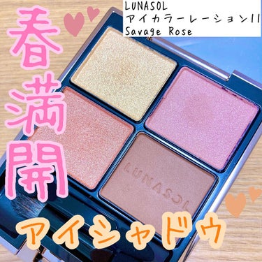 アイカラーレーション/LUNASOL/アイシャドウパレットを使ったクチコミ（1枚目）