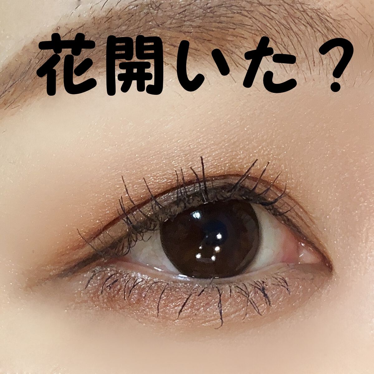 ã¯ã³ã㌠ãšã㌠ã¢ã€ã·ã£ããŠ/ãªã³ã¡ã« ãã³ãã³/ã¢ã€ã·ã£ããŠãã¬ããã䜿ã£ãã¯ãã³ãïŒ5æç®ïŒ