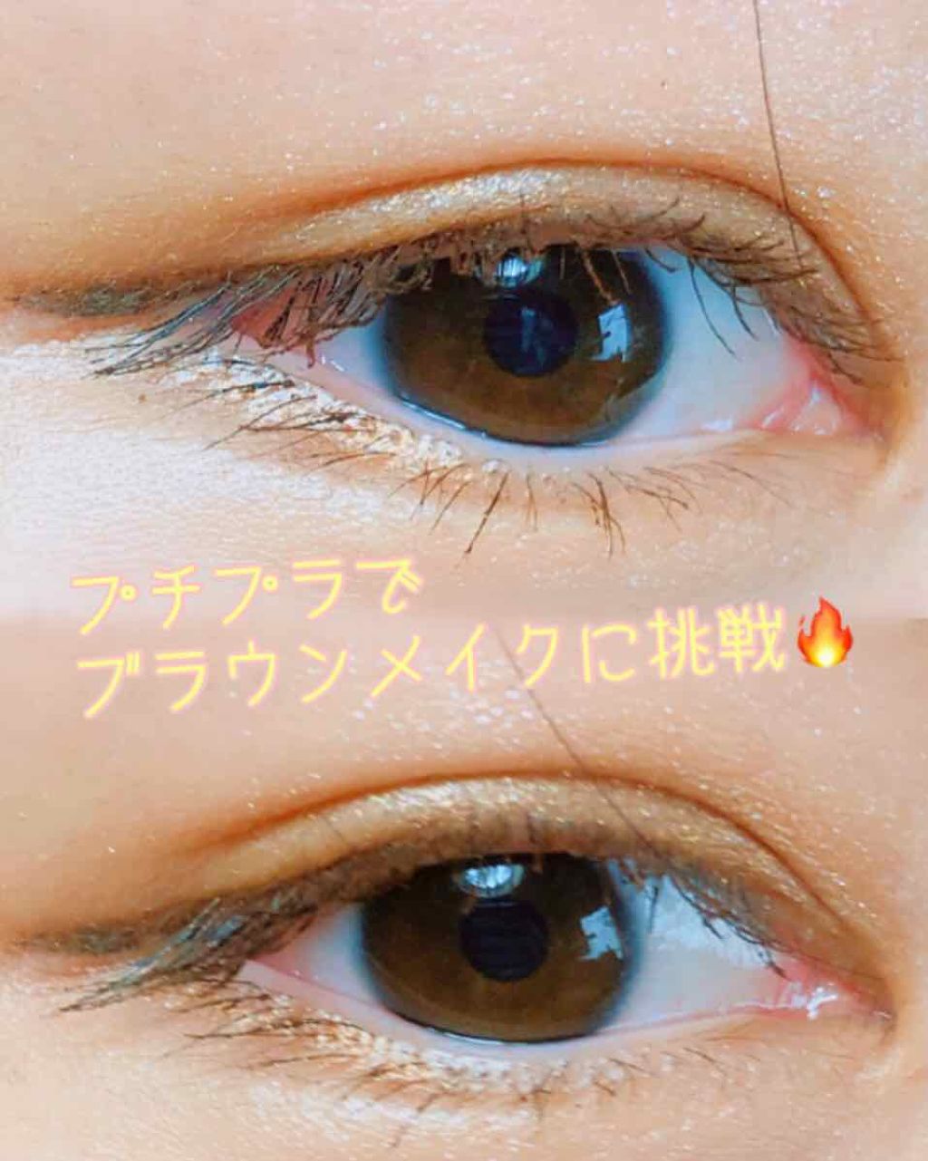 グラデーション アイ カラー（チップ付）/ちふれ/アイシャドウパレットを使ったクチコミ（1枚目）