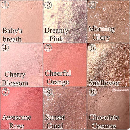 ワンピックアイシャドウパレット/APLIN/アイシャドウパレットを使ったクチコミ(4枚目)