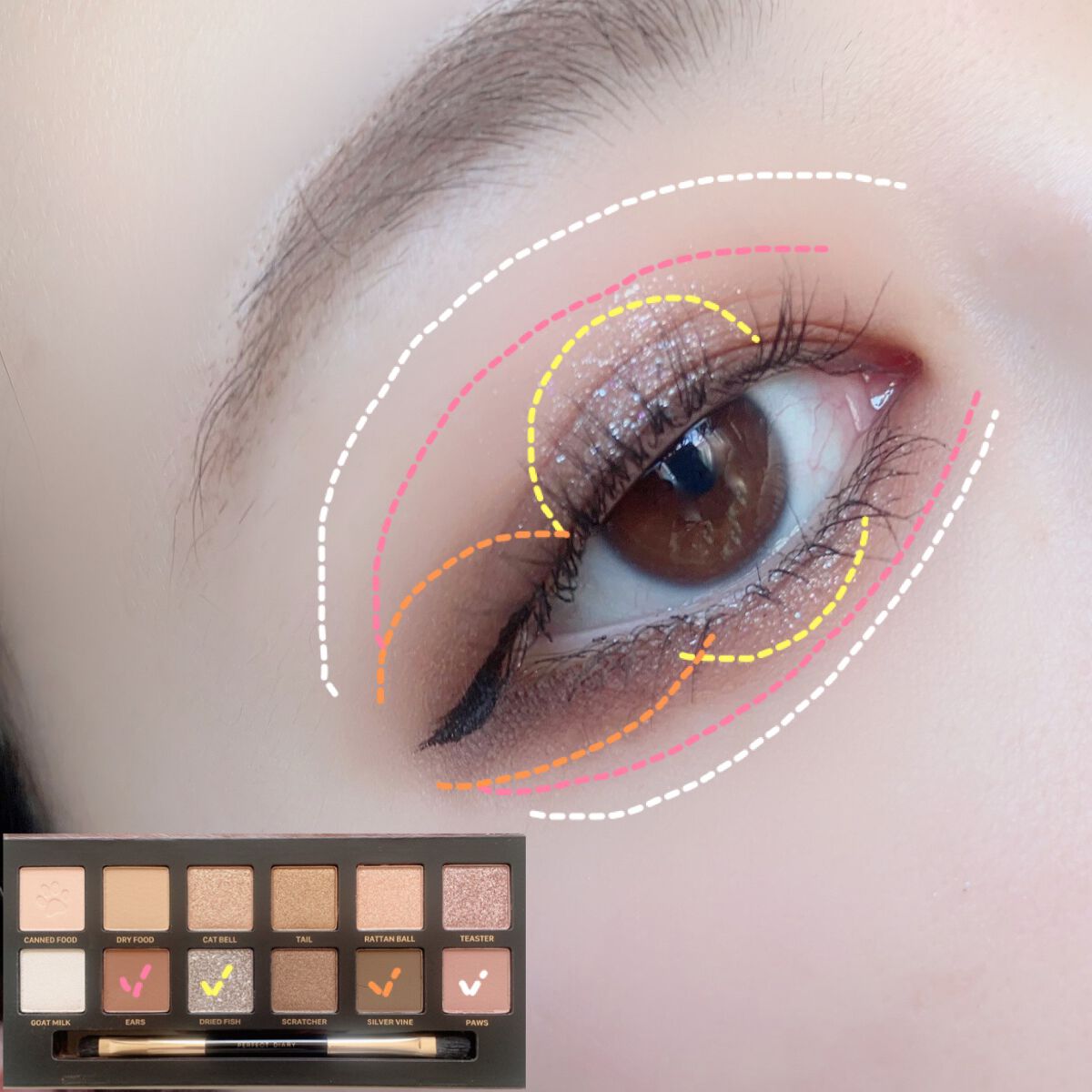 エクスプローラ12色 動物アイシャドウパレット/PERFECT DIARY/アイシャドウパレットを使ったクチコミ（2枚目）