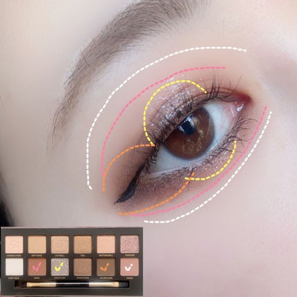 エクスプローラ12色 動物アイシャドウパレット/PERFECT DIARY/アイシャドウパレットを使ったクチコミ(2枚目)