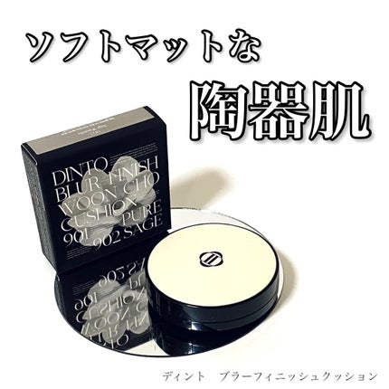ブラーフィニッシュ雲楚クッション/Dinto/クッションファンデーションを使ったクチコミ(1枚目)
