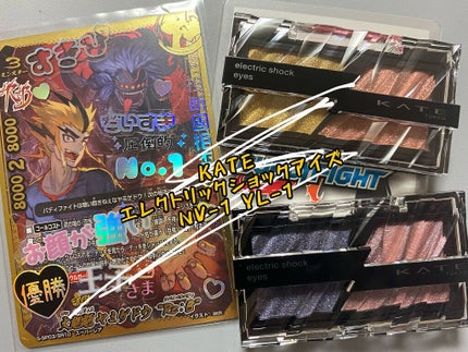 エレクトリックショックアイズ /KATE/アイシャドウパレットを使ったクチコミ(1枚目)