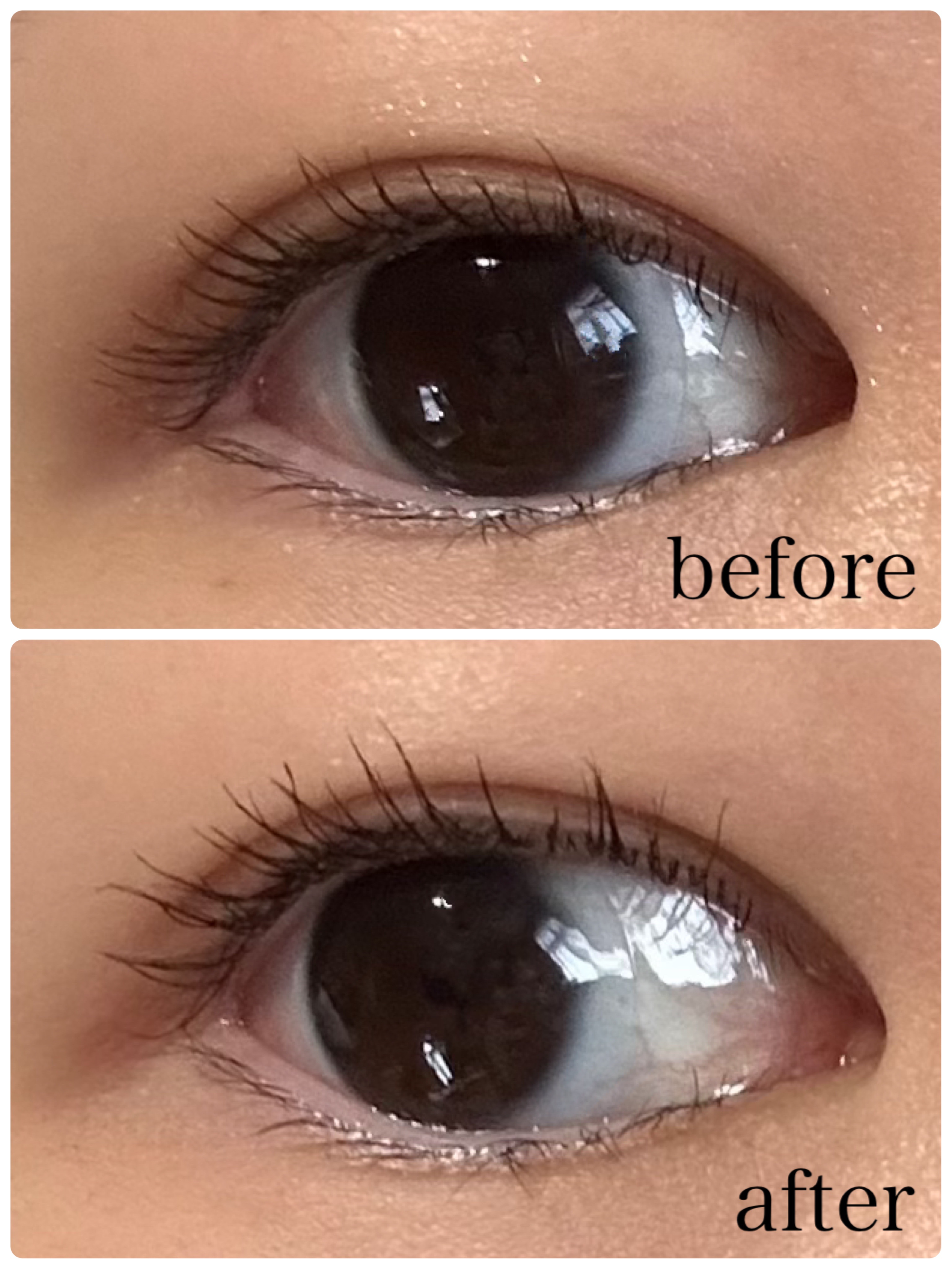 ミニアイラッシュカーラー/SHISEIDO/ビューラーを使ったクチコミ（2枚目）