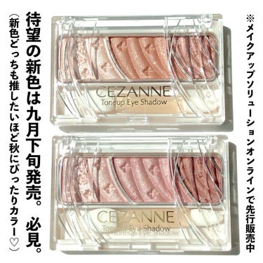 トーンアップアイシャドウ/CEZANNE/アイシャドウパレットを使ったクチコミ（9枚目）