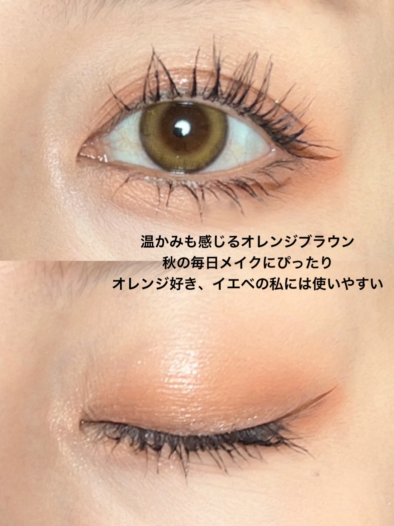 ビタートーンアイシャドウ/CEZANNE/パウダーアイシャドウを使ったクチコミ(5枚目)