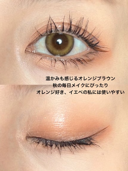 ビタートーンアイシャドウ/CEZANNE/パウダーアイシャドウを使ったクチコミ(5枚目)