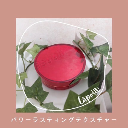 プロテーラービーベルベットカバークッション/espoir/クッションファンデーションを使ったクチコミ(1枚目)