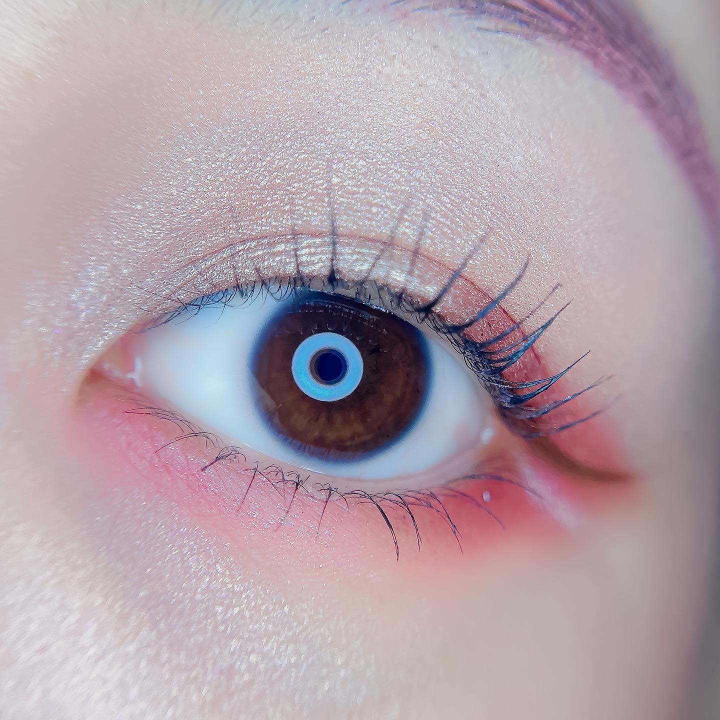 クロマティックス クワッド/shu uemura/アイシャドウパレットを使ったクチコミ（3枚目）