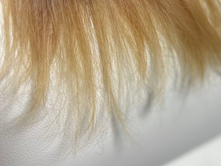 カラークリーム/got2b/ヘアカラーを使ったクチコミ(1枚目)