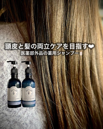 薬用スカルプケアシャンプー/トリートメント モイスト/WELLP/市販シャンプーを使ったクチコミ(1枚目)