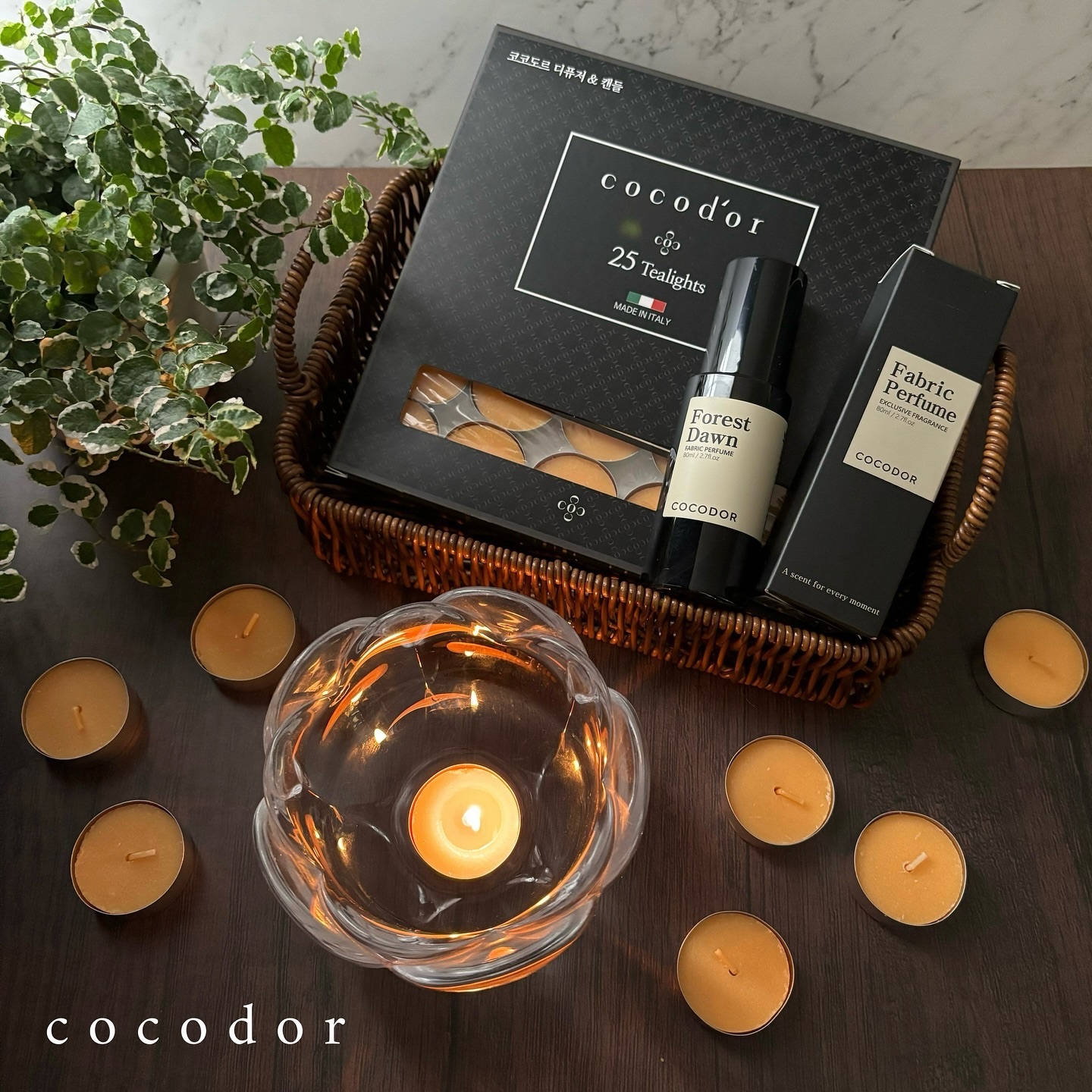 Fabric Perfume フォレストダウンの香り/COCODOR/ルームフレグランスを使ったクチコミ（1枚目）