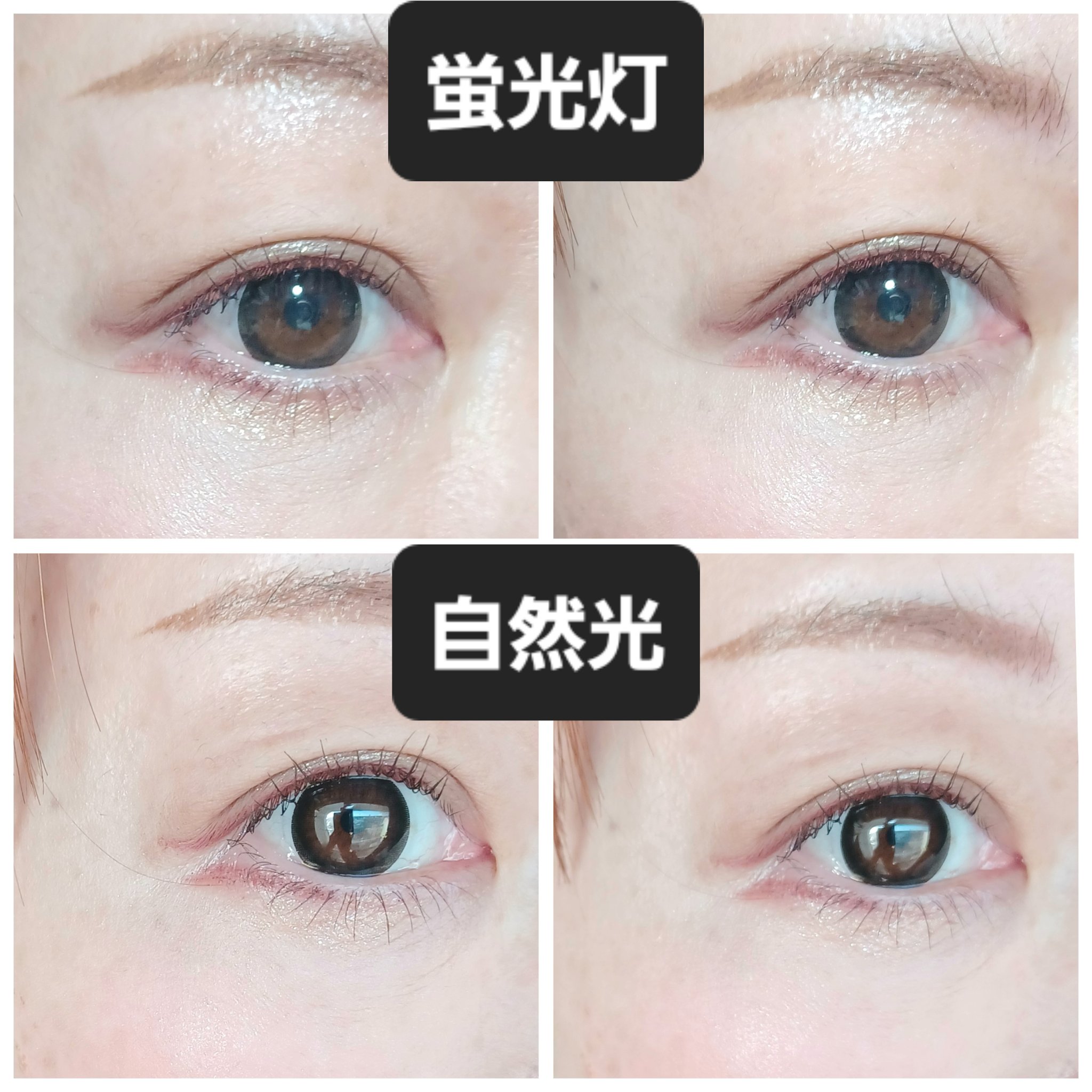 ピアコンタクトアクア/LILY ANNA/ワンデー（１DAY）カラコンを使ったクチコミ（3枚目）