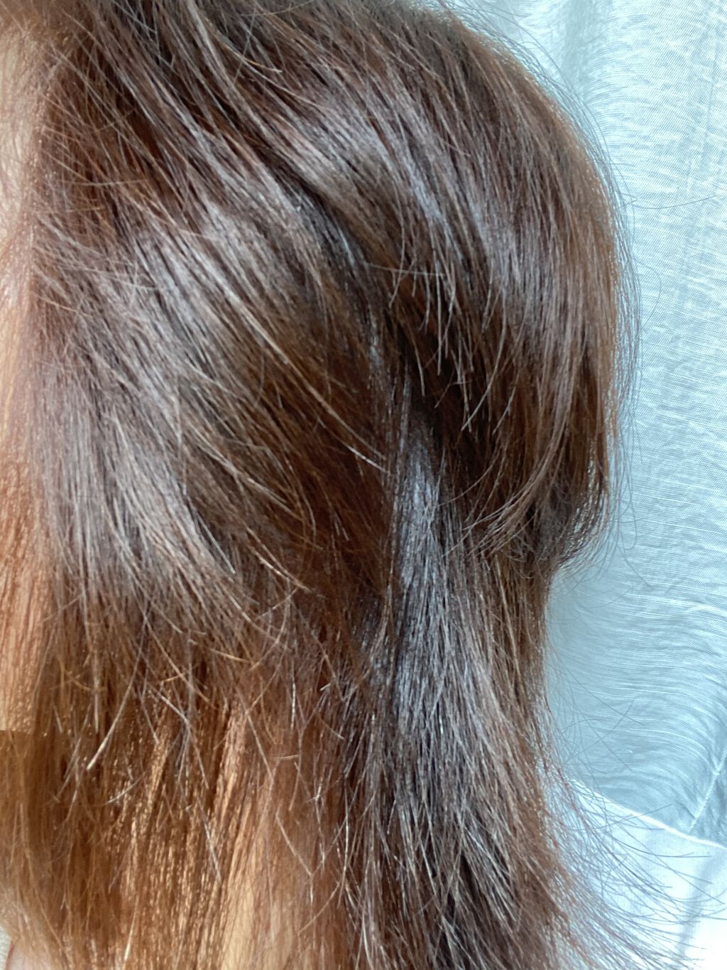 ボタアンド ザ シャンプー <sencha>/クオリティファースト/市販シャンプーを使ったクチコミ（3枚目）