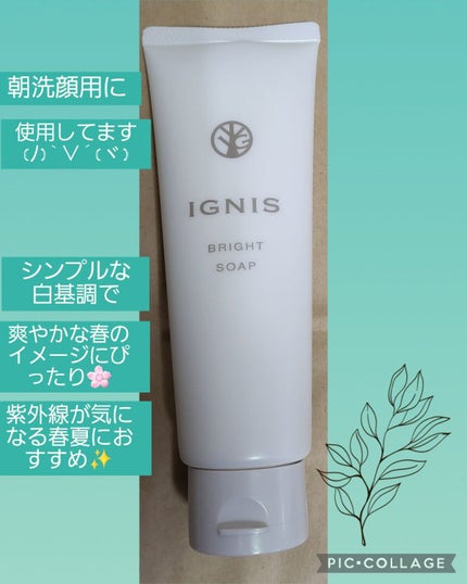 ブライト ソープ/IGNIS/洗顔フォームを使ったクチコミ(4枚目)
