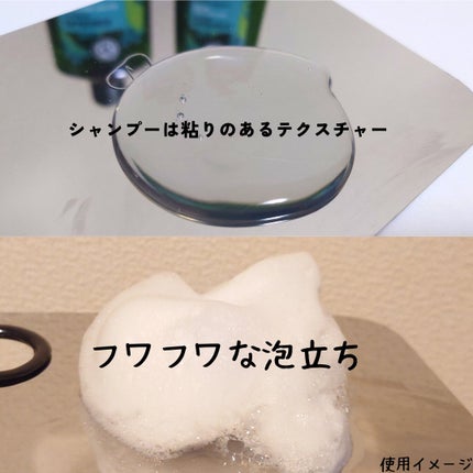 イヴ・ロシェ ヘルシースカルプシャンプー/コンディショナー〈ピュアリフレッシュ〉のクチコミ「🌹イヴ・ロシェ
ヘルシースカルプシャンプー/コンディショナー
〈ピュアリフレッシュ〉
地肌と.....」(2枚目)