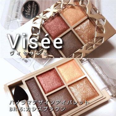 パノラマデザイン アイパレット/Visée/アイシャドウパレットを使ったクチコミ（2枚目）