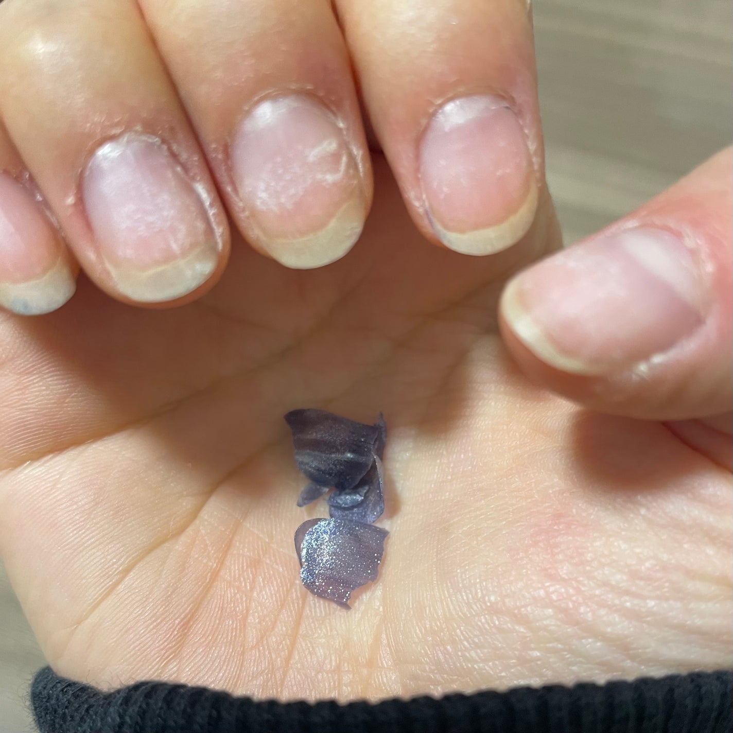 マグネットスティックネイルジェル/3COINS/ジェルネイルを使ったクチコミ(3枚目)