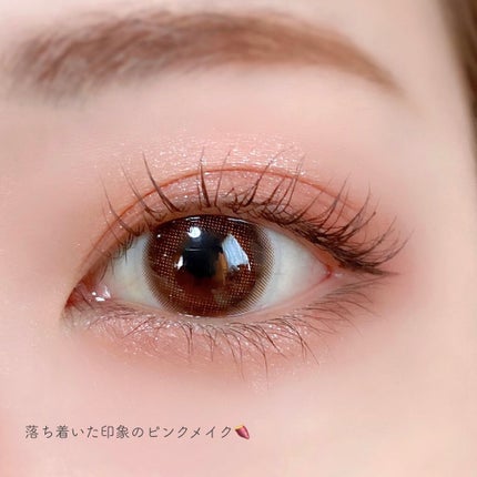 シルキースフレアイズ(マットタイプ)/キャンメイク/アイシャドウパレットを使ったクチコミ(4枚目)