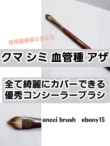 eebony15/Ancci brush/メイクブラシを使ったクチコミ（1枚目）