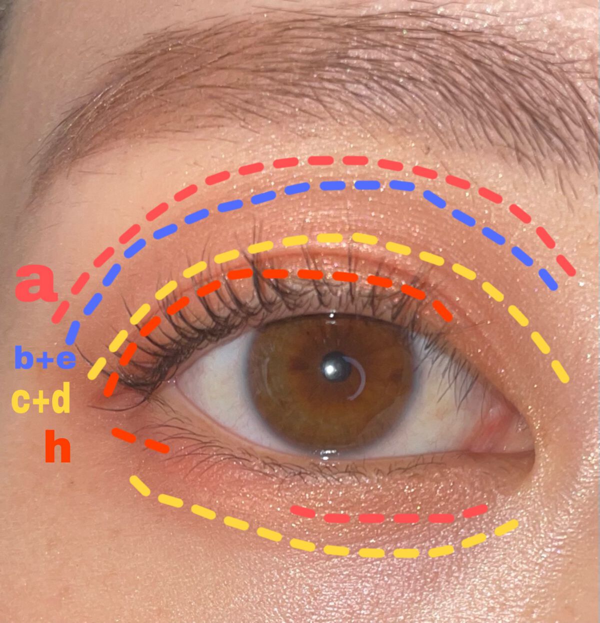 ディオール バックステージ アイ パレット/Dior/アイシャドウパレットを使ったクチコミ(8枚目)