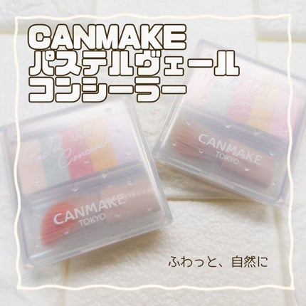 パステルヴェールコンシーラー/キャンメイク/パレットコンシーラーを使ったクチコミ(1枚目)