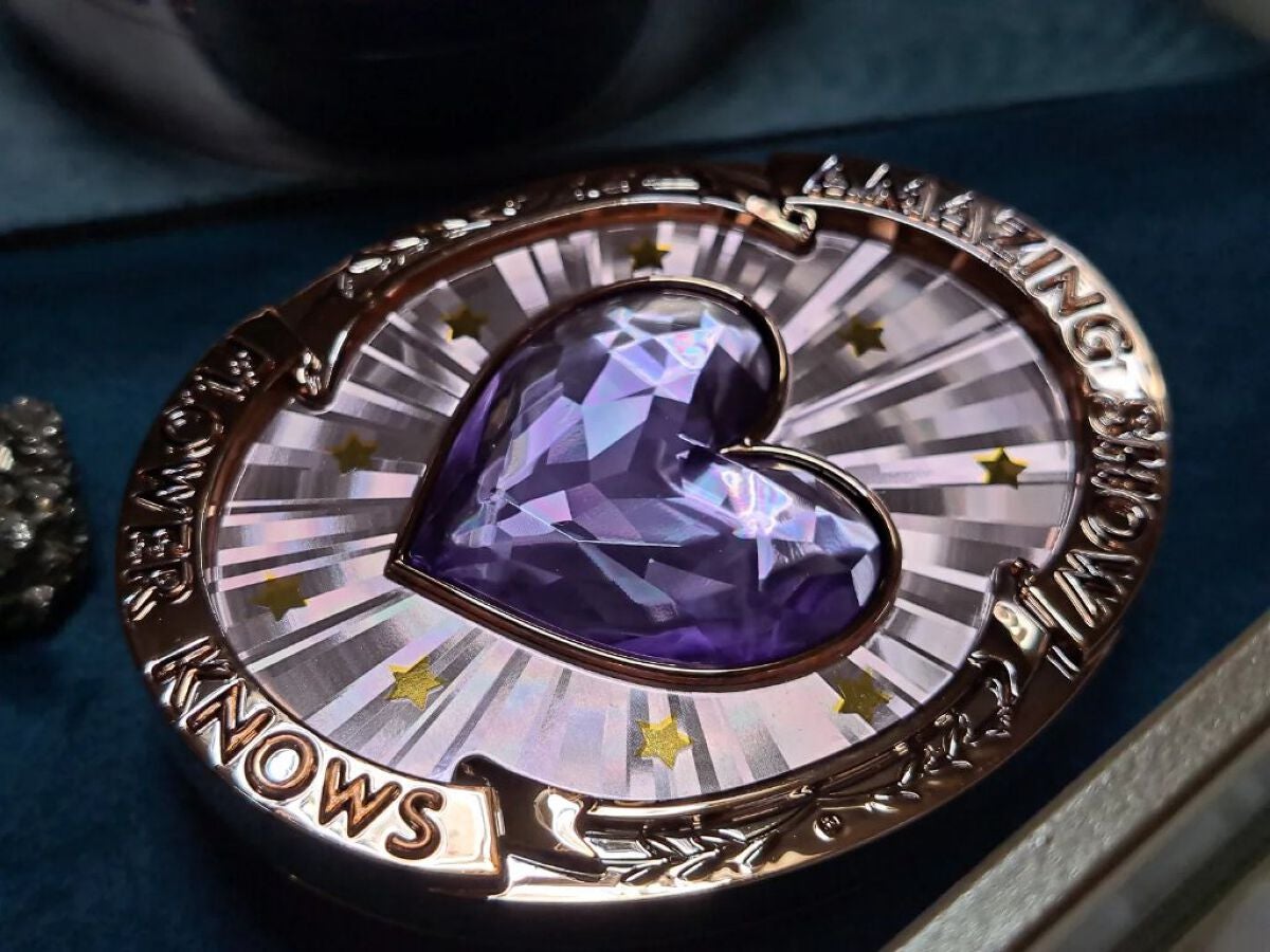 サーカスシリーズ グラデーションブラッシュ /FlowerKnows/パウダーチークを使ったクチコミ(2枚目)