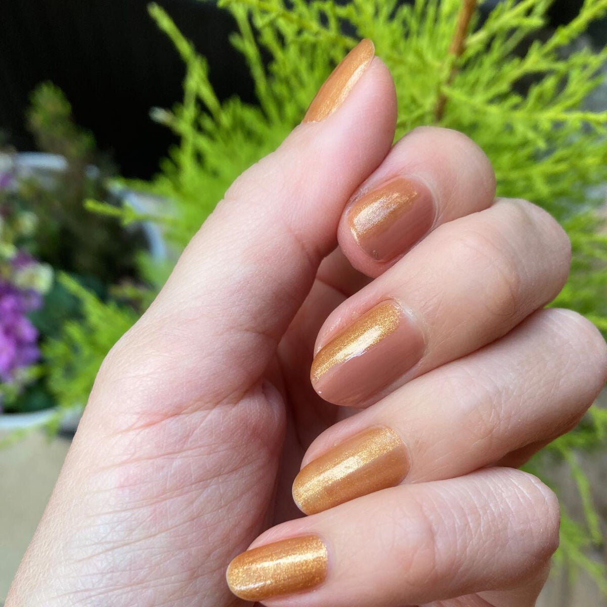 オサジ アップリフト ネイルカラー/OSAJI/マニキュアを使ったクチコミ(3枚目)