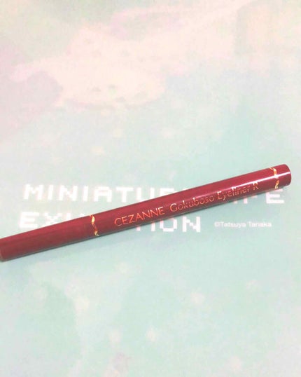 極細 アイライナーR/CEZANNE/リキッドアイライナーを使ったクチコミ(1枚目)