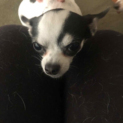 を使ったクチコミ(2枚目)