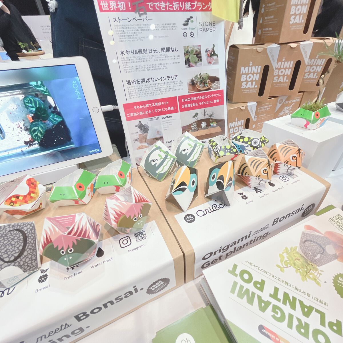 Machiko@フォロバします♡ on LIPS 「素敵なご縁を頂き念願のロフトグリーンプロジェクト~サステナブル..」(5枚目)