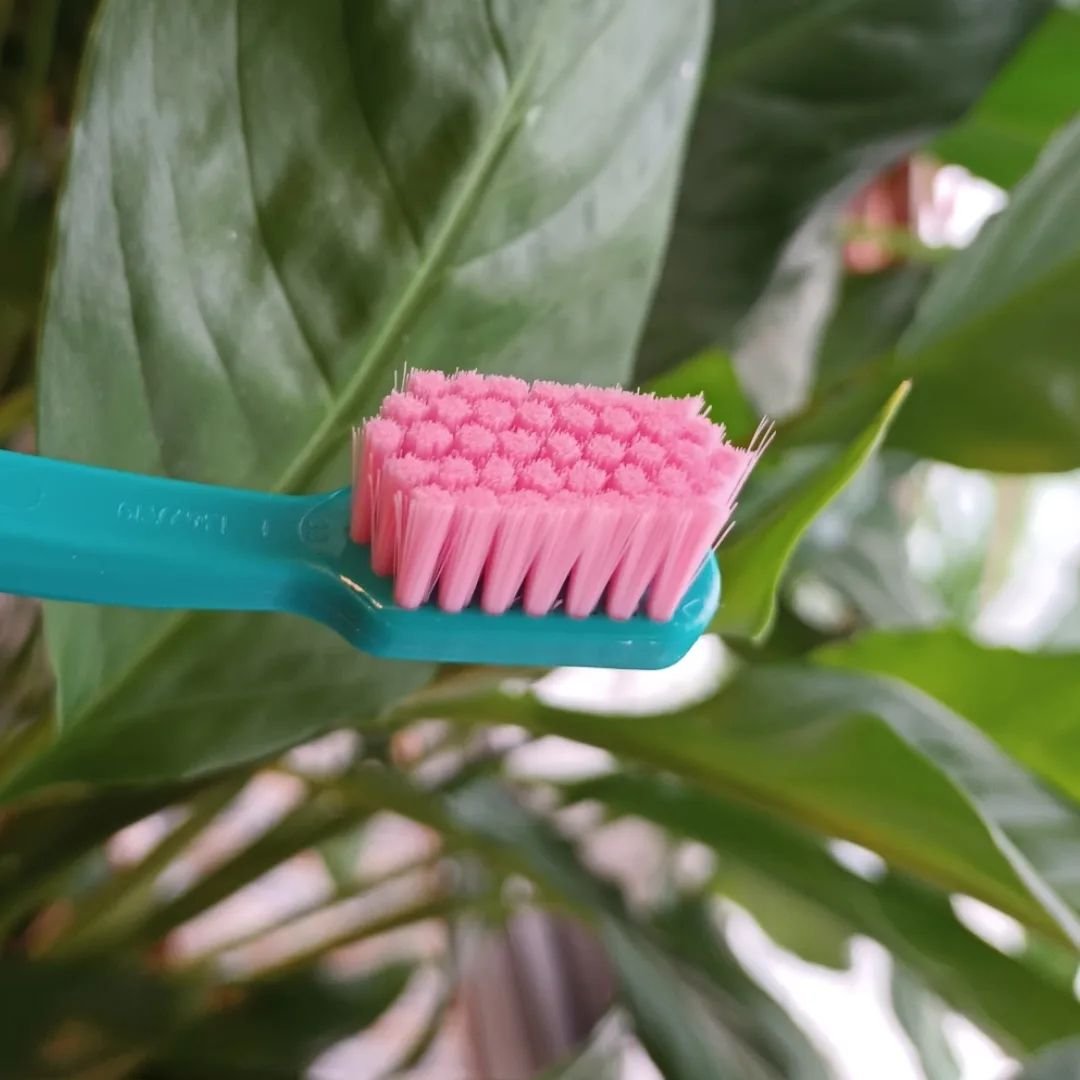 CS12460 ベルベット/CURAPROX/歯ブラシを使ったクチコミ（3枚目）