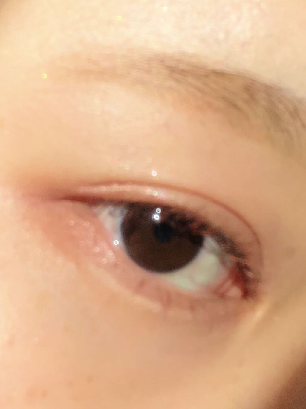 トーンアップアイシャドウ/CEZANNE/アイシャドウパレットを使ったクチコミ（3枚目）